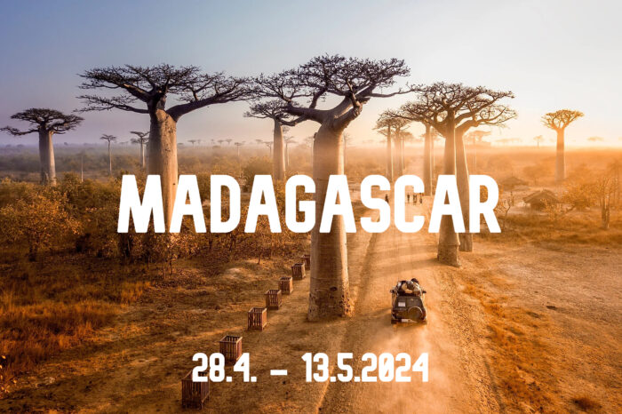 TRIP: MADAGASCAR