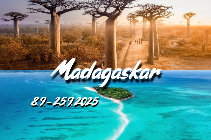 TRIP: MADAGASKAR